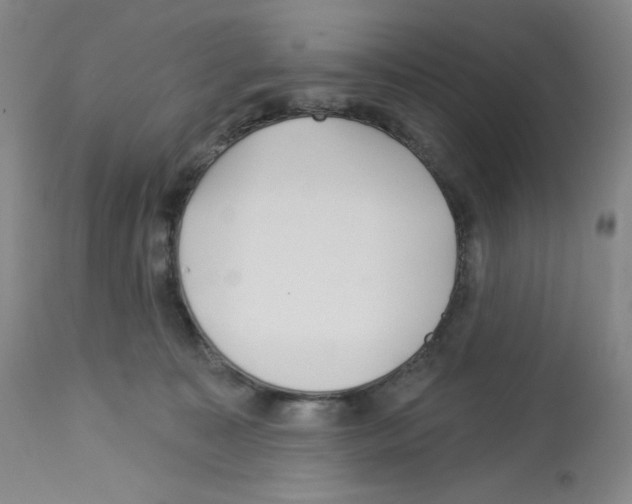 X0000112720323200910011138