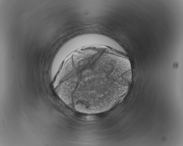 X0000112720324200910011138