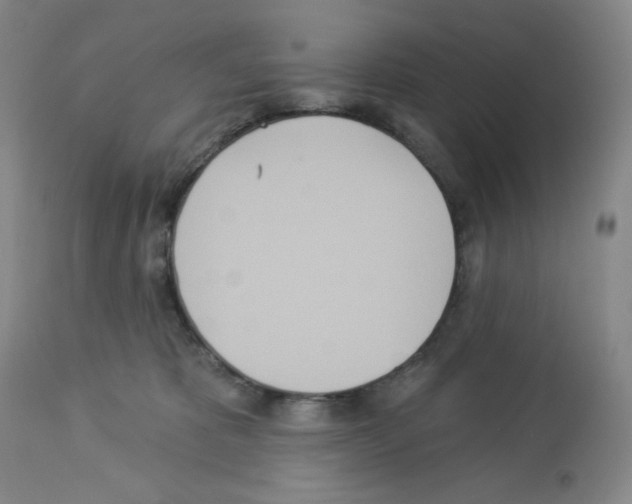 X0000112720325200910011138