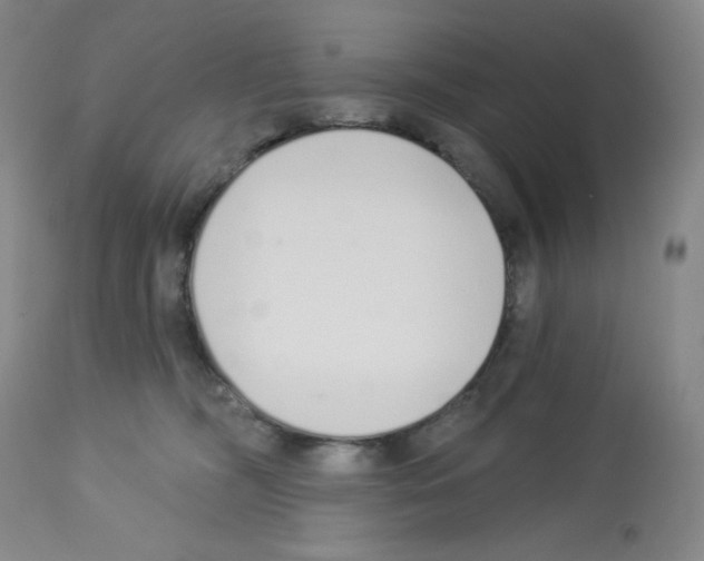 X0000112720326200910011138