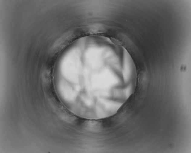 X0000112720327200910011138