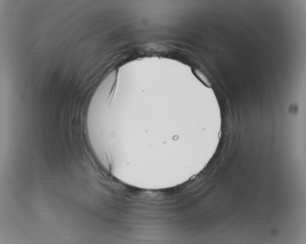 X0000112720328200910011138