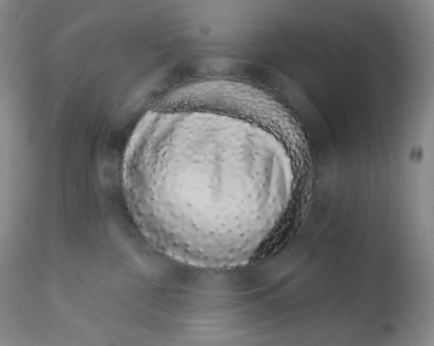 X0000112720332200910011138