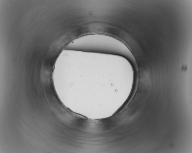 X0000112720333200910011138