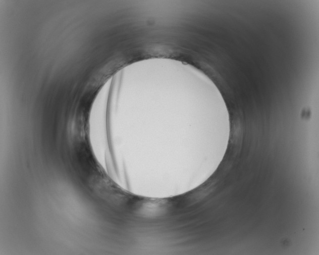 X0000112720334200910011138