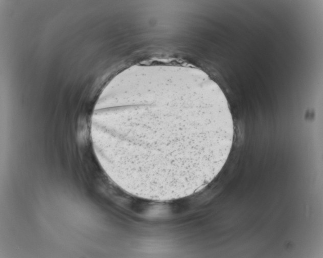 X0000112720335200910011138