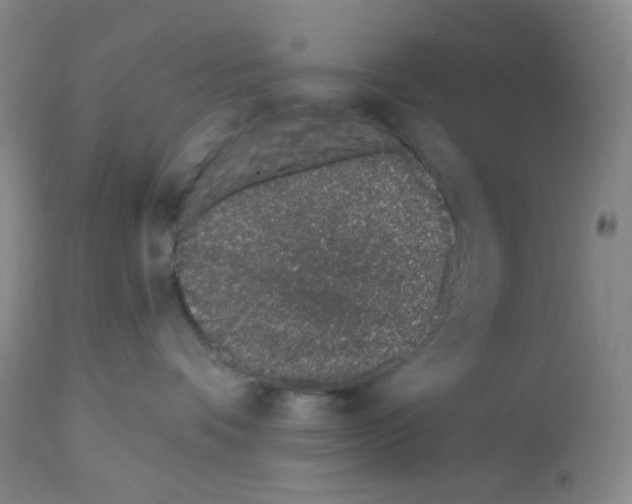 X0000112720336200910011138