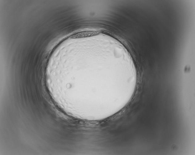 X0000112720337200910011137