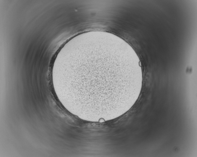 X0000112720338200910011137