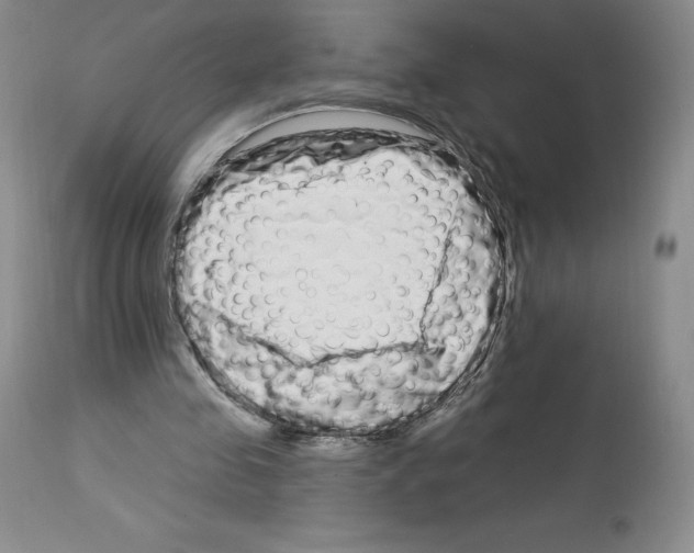 X0000112720341200910011137