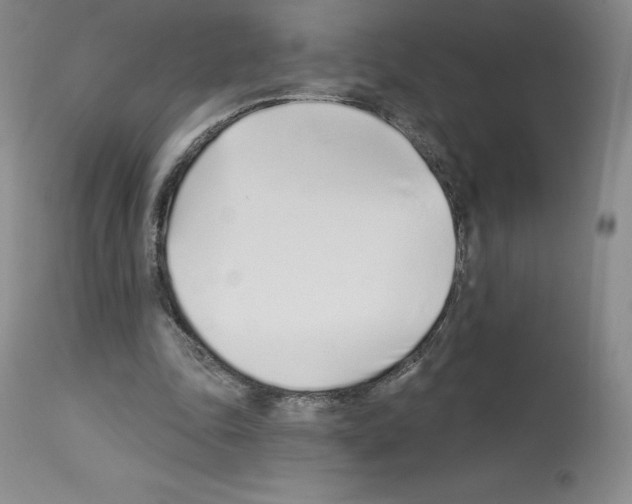 X0000112720343200910011137