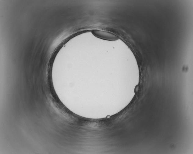 X0000112720344200910011137