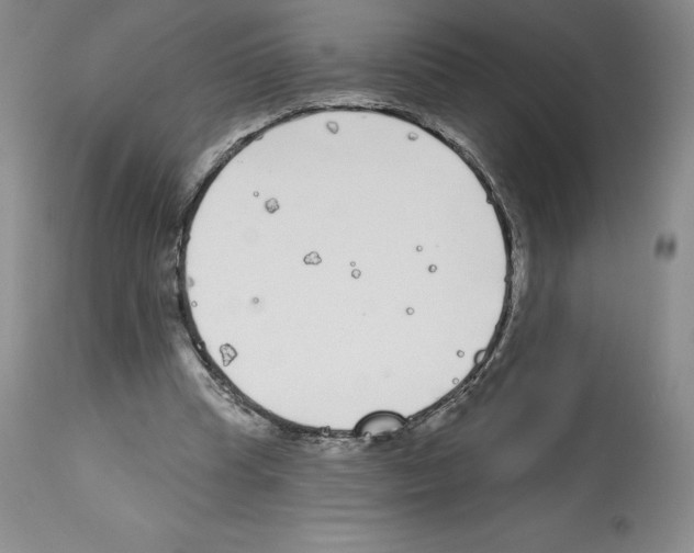 X0000112720345200910011138