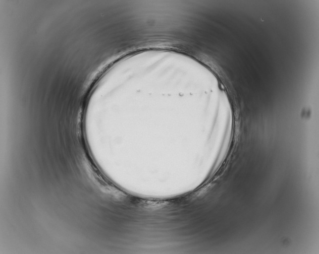 X0000112720346200910011138