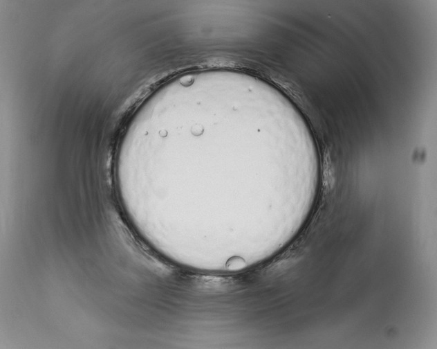 X0000112720347200910011138