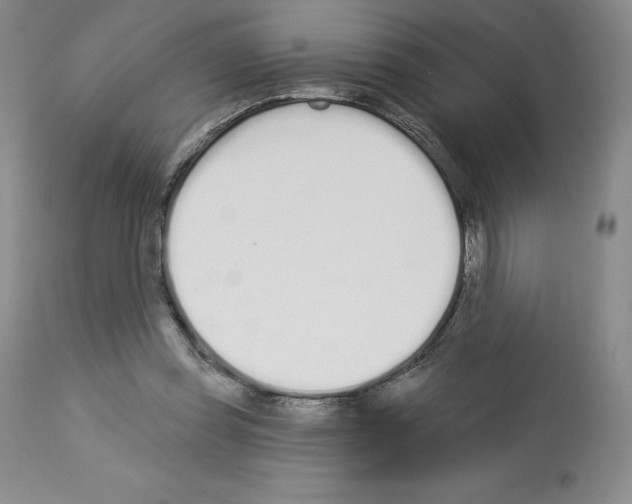 X0000112720349200910011138