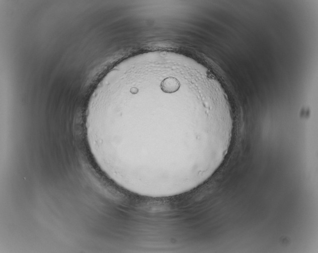 X0000112720353200910011138