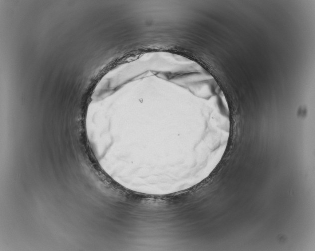 X0000112720354200910011138