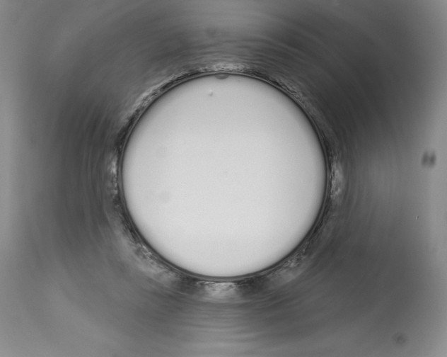 X0000112720355200910011138