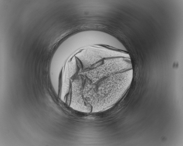 X0000112720356200910011138