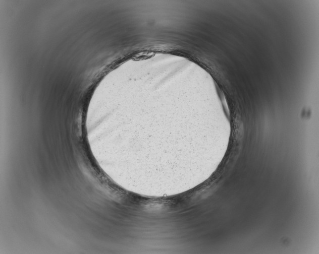 X0000112720358200910011138