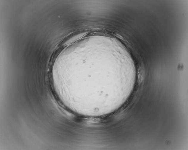 X0000112720359200910011138