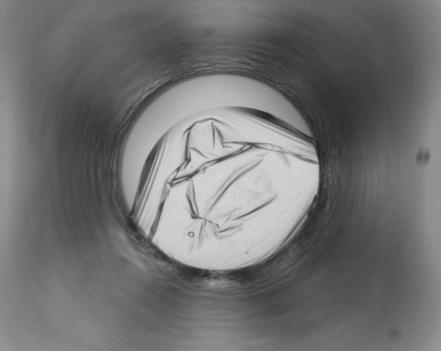 X0000112720360200910011138