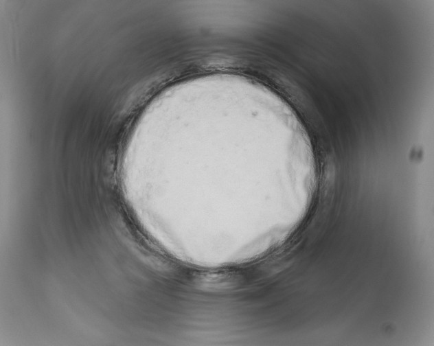 X0000112720361200910011138