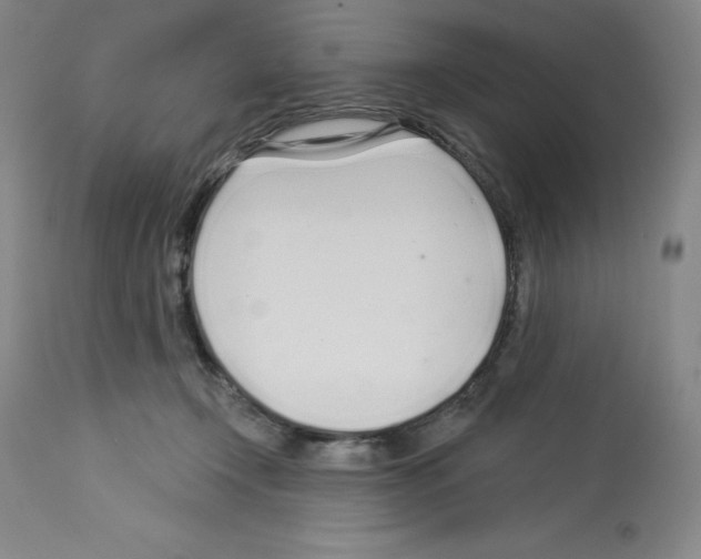 X0000112720366200910011138