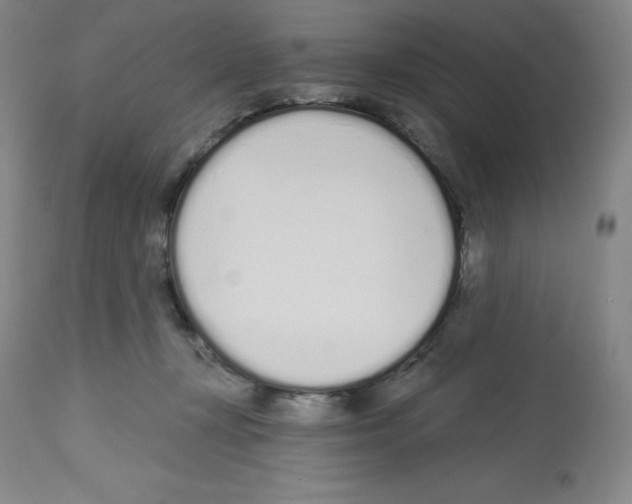 X0000112720367200910011138