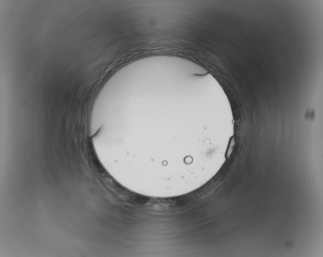 X0000112720368200910011138