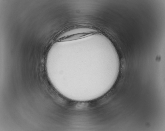 X0000112720369200910011138