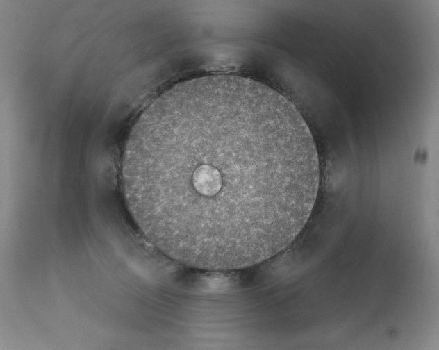 X0000112720370200910011138