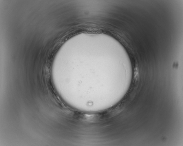 X0000112720371200910011138