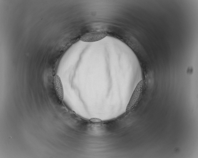 X0000112720372200910011138