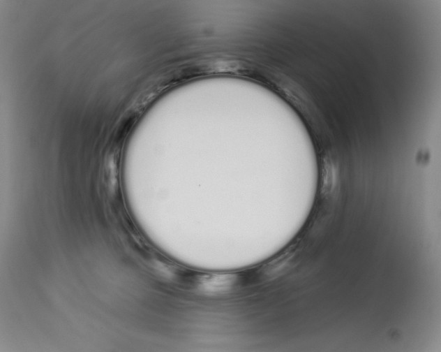 X0000112720373200910011138