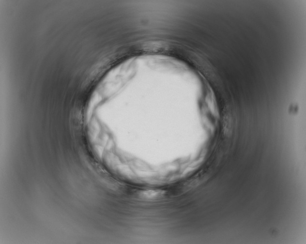 X0000112720375200910011138