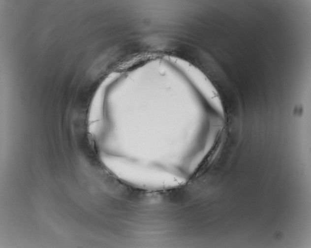 X0000112720376200910011138