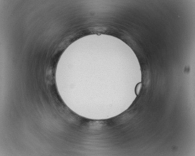 X0000112720378200910011138