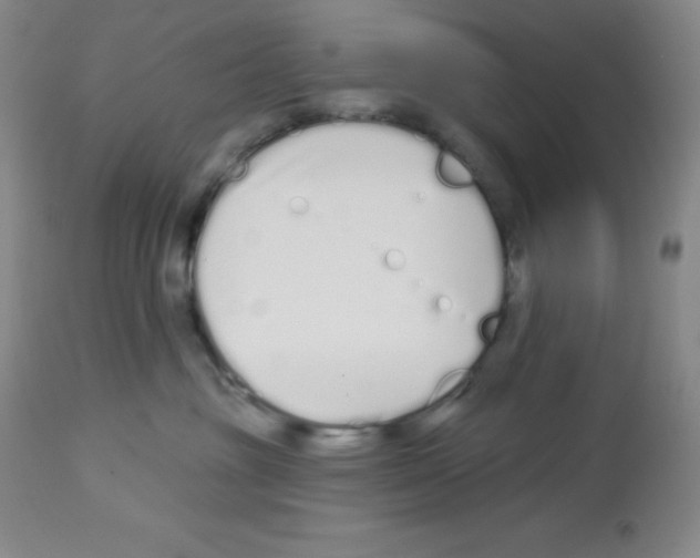 X0000112720381200910011138