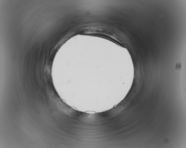 X0000112720382200910011138