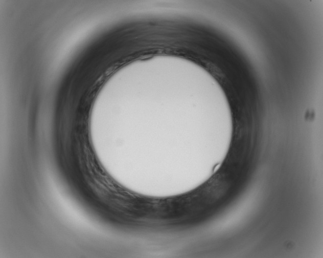 X0000112720383200910011138