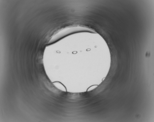 X0000112720384200910011138