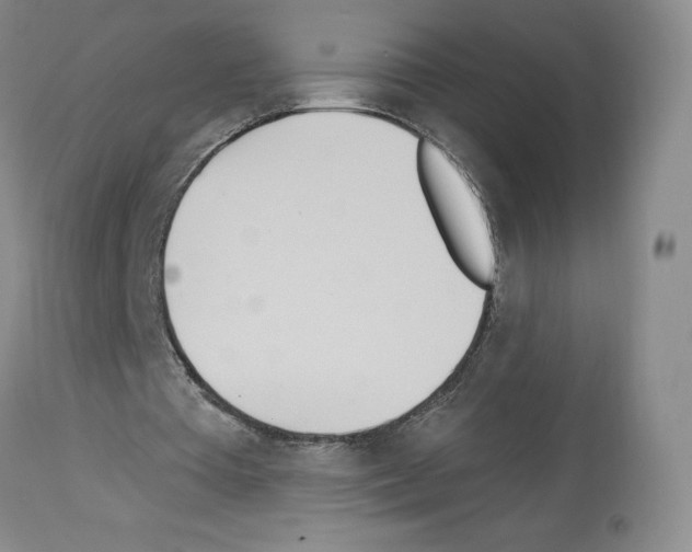 X0000112720385200910011137