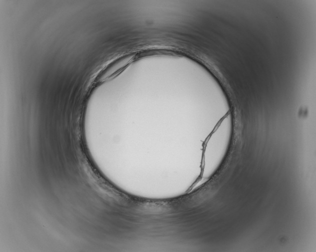 X0000112720386200910011137