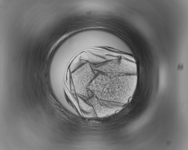 X0000112720387200910011137