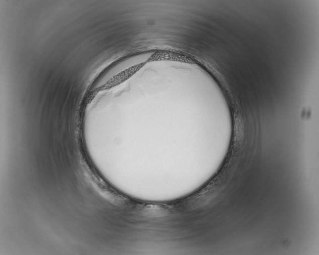 X0000112720390200910011137