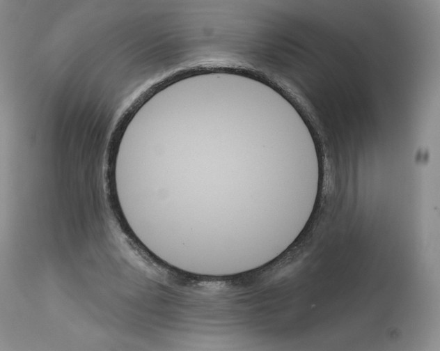 X0000112720391200910011137