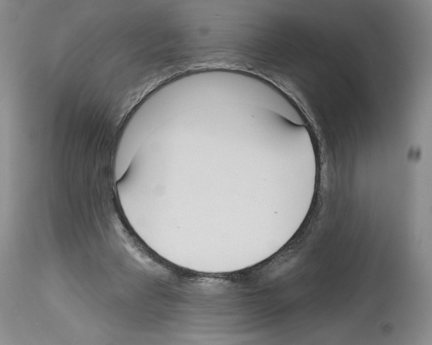 X0000112720393200910011137