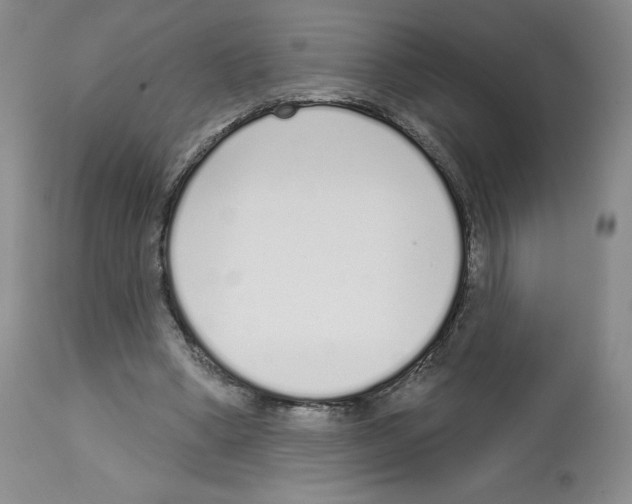 X0000112720394200910011137